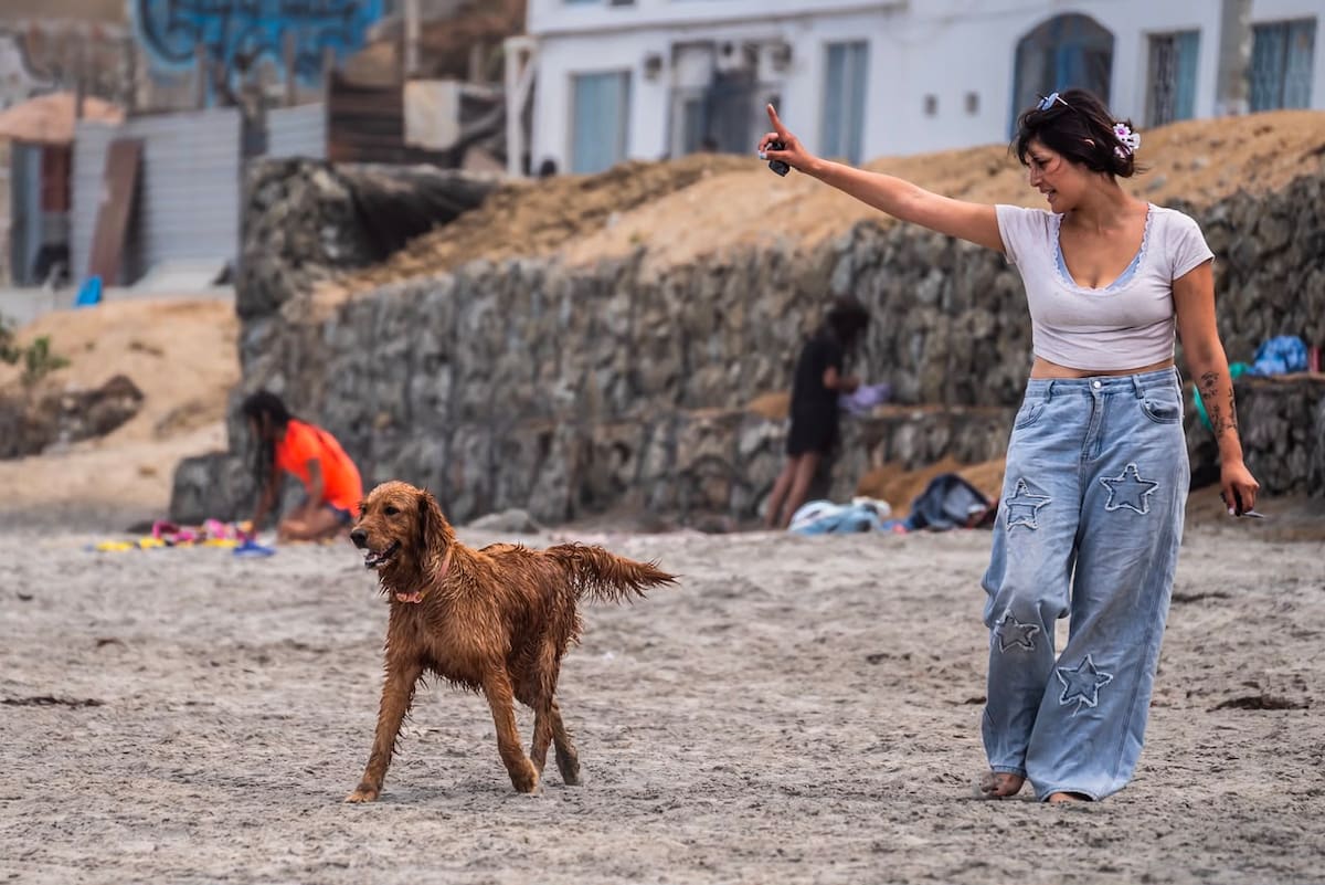 Dueños destacaron que los paseos fortalecen el vínculo con sus mascotas y favorecen su salud física y emocional, además de promover una tenencia responsable. Foto: Border Zoom.