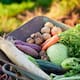 Las frutas y verduras que debes sembrar en mayo para aprovechar las altas temperaturas y evitar que tu huerto casero se seque antes del verano