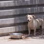Calor en Mexicali dará un ligero respiro este sábado; máxima será de 42°C