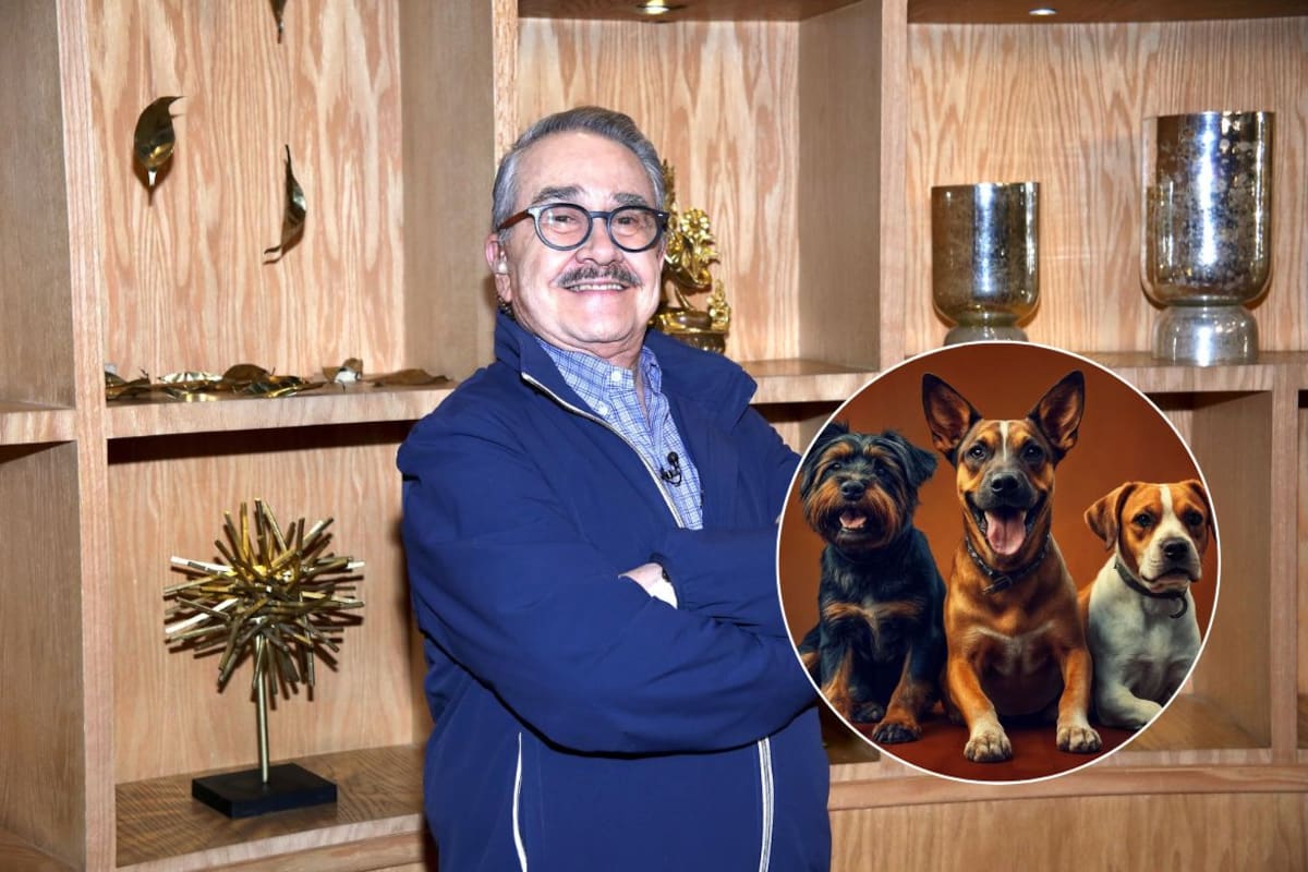 Pedro Sola desata polémica tras decir que le dan ganas de “aventar carne envenenada” a perros que ingresan a supermercados y restaurantes junto a sus dueños