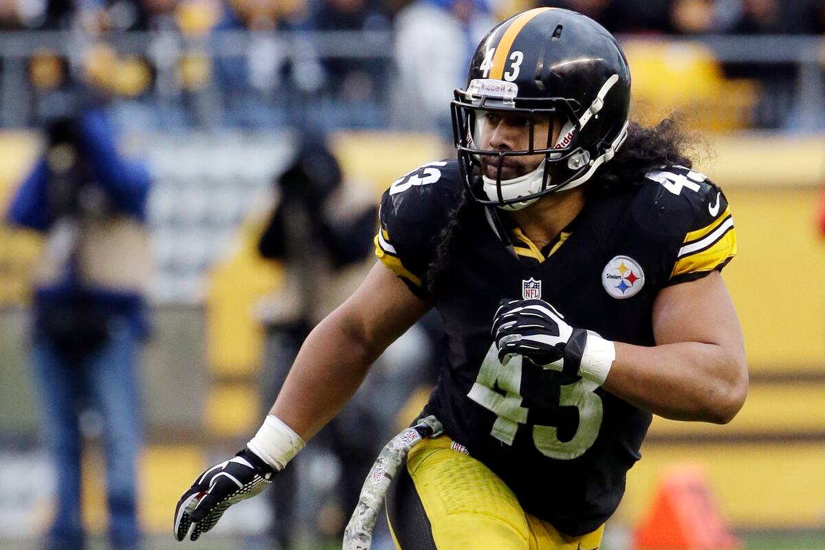 Troy Polamalu destaca en la Generación 2020 de entronizados al Salón de la Fama