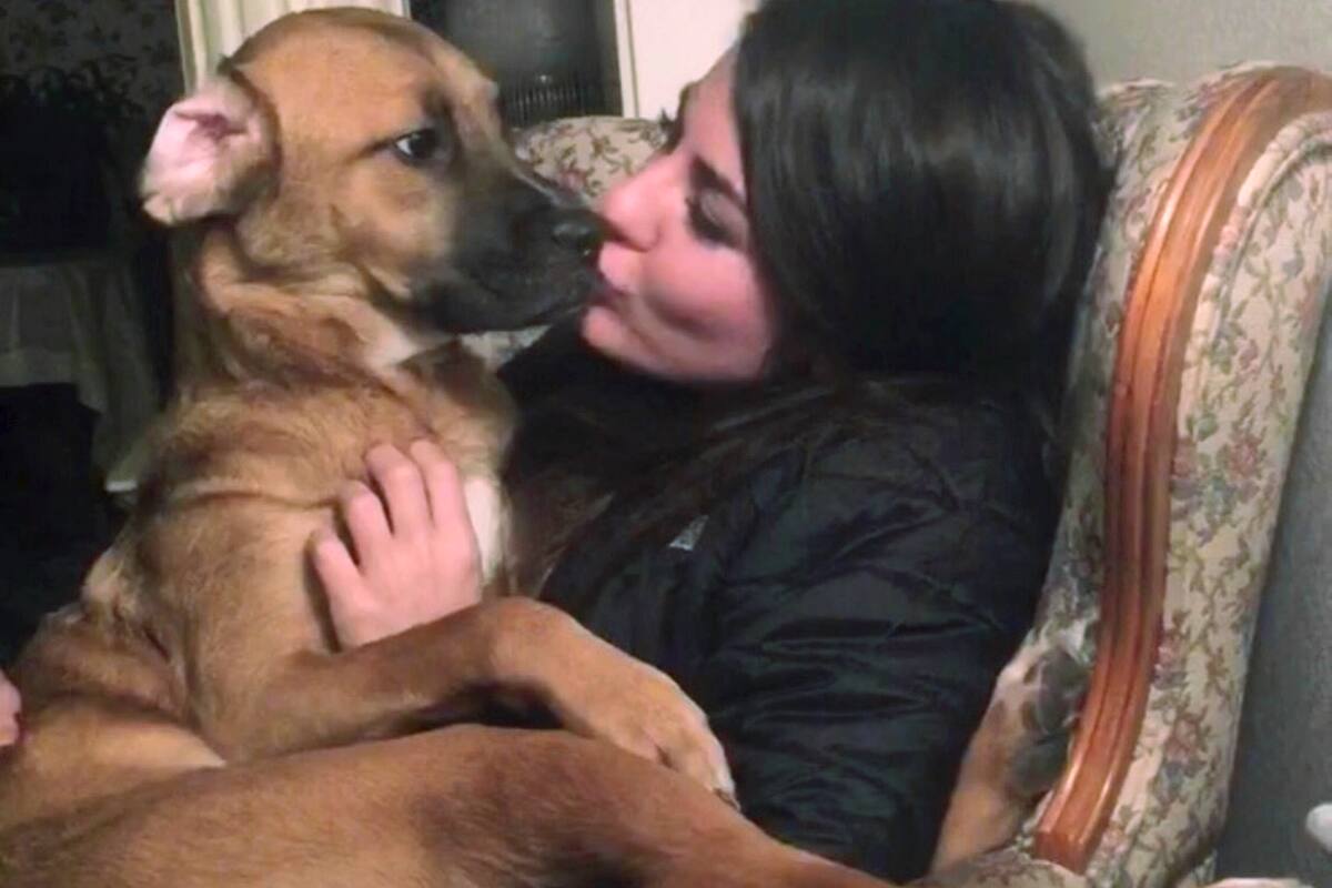 Llega disputa de pareja por mascota a Corte Suprema de Maine