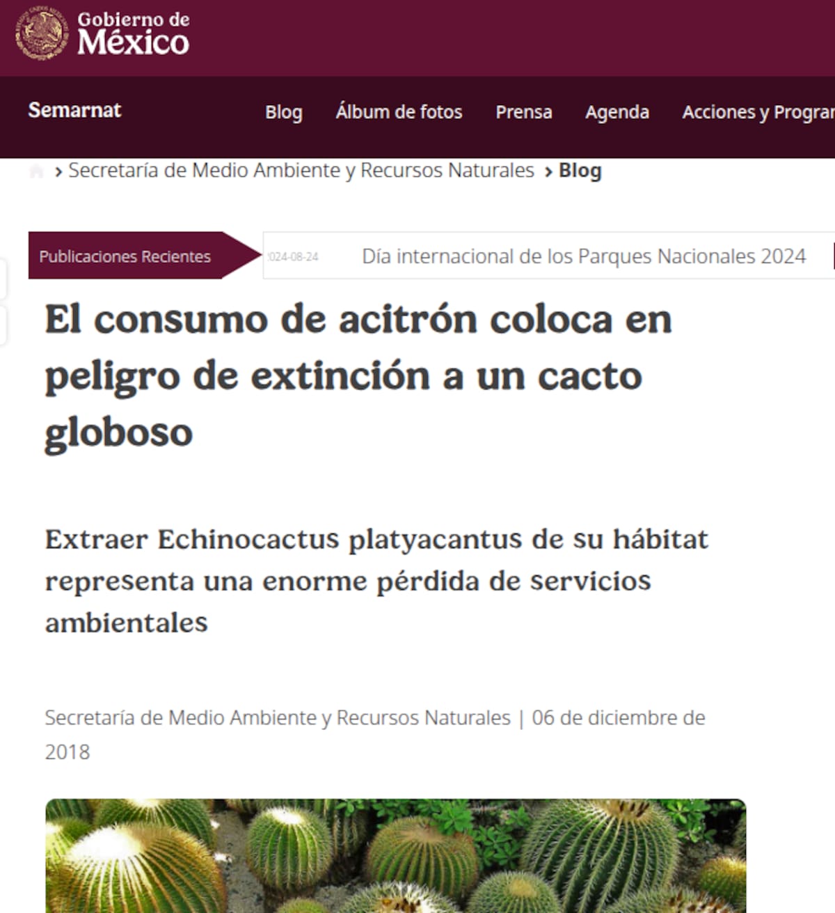 Acitrón en los chiles en nogada: qué dice la ley y qué sanciones existen. Foto: Captura de pantalla