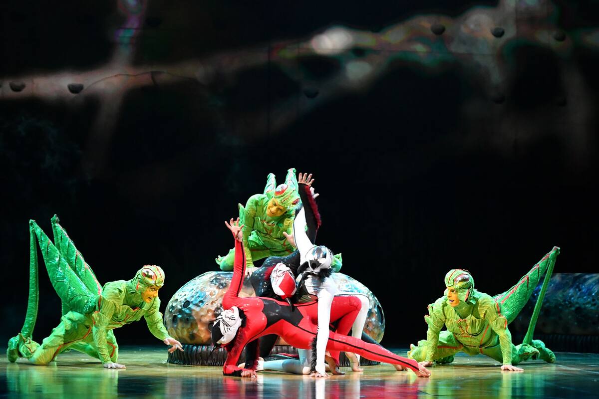 Regresa Cirque du Soleil a San Diego con OVO