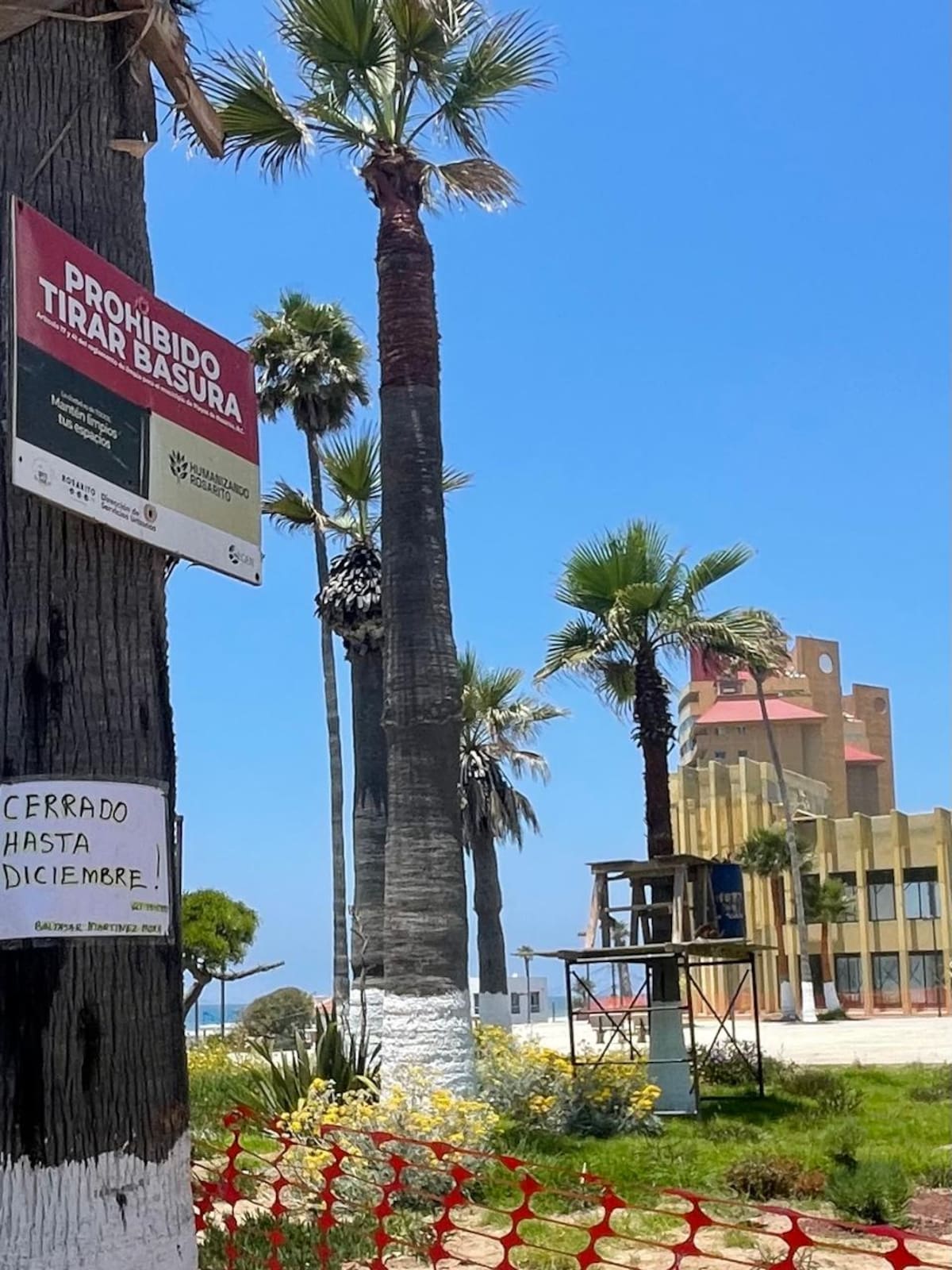 Foto: Carmen Gutiérrez