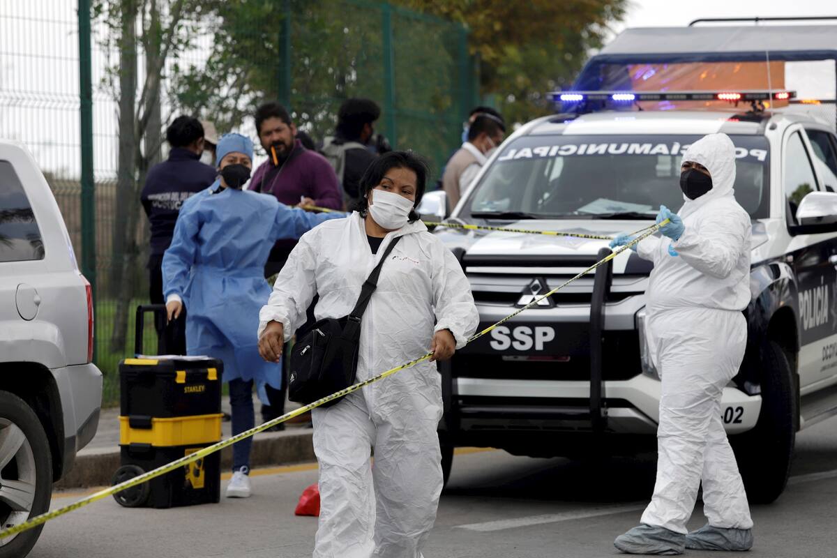 Proceso electoral de 2021 en México dejó 102 políticos asesinados: Etellekt