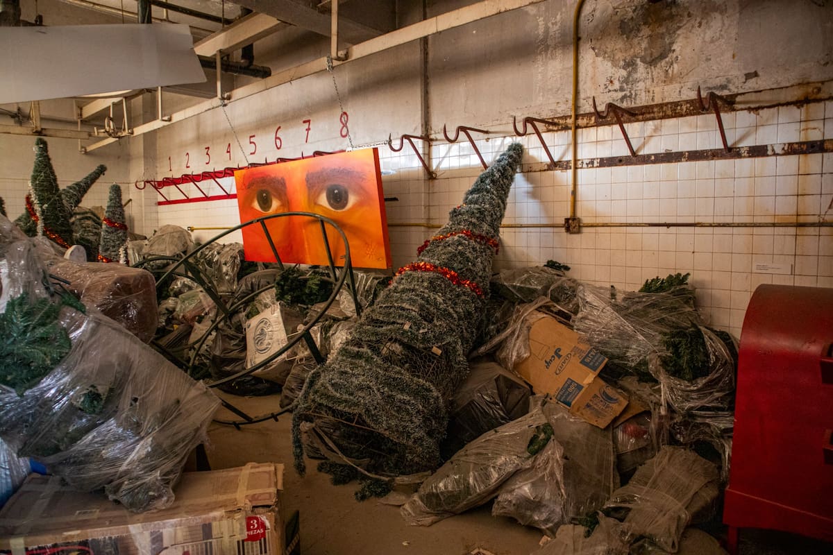 Foto: Andrés O. Farrera.