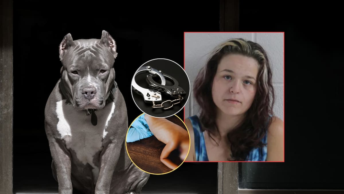 Angelina Williams esposó a su hijo de 6 años de pies y manos y se quedó observando cómo un pitbull le destrozaba el cuello “como si fuera un juguete para masticar”; lo estaba castigando por no levantar excremento con las manos