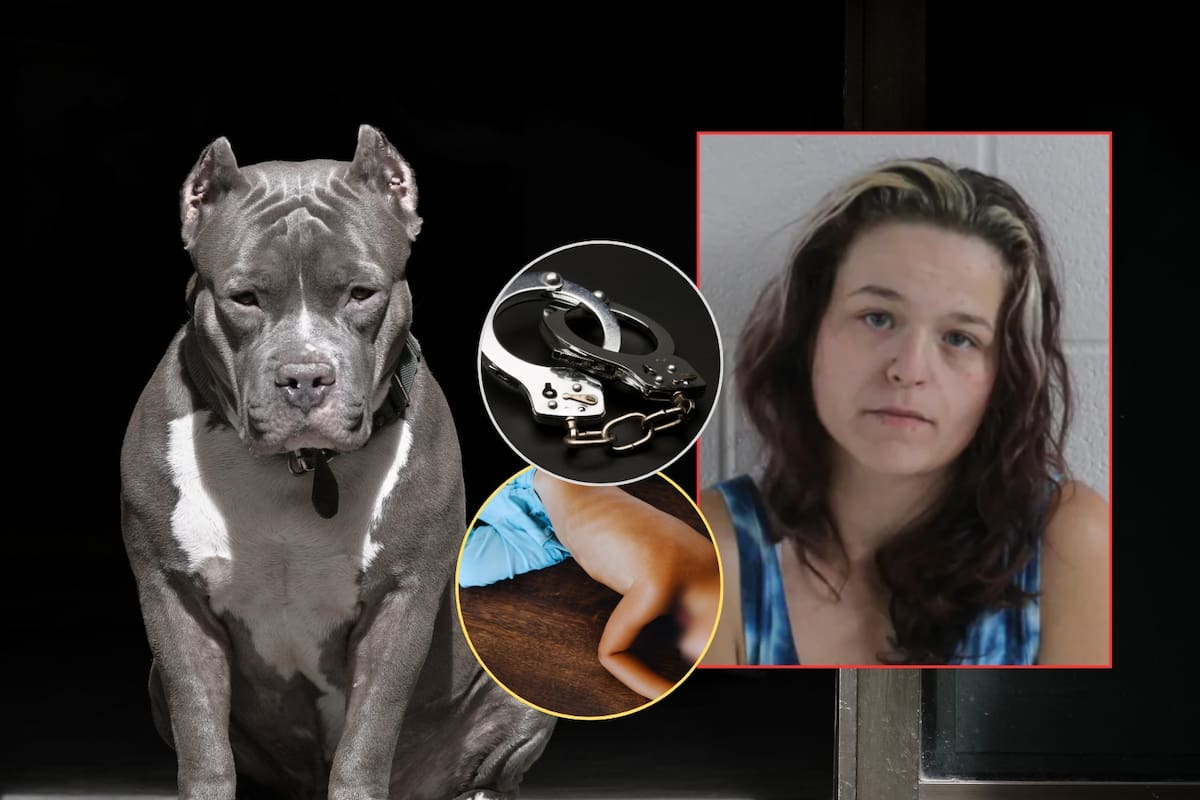 Angelina Williams esposó a su hijo de 6 años de pies y manos y se quedó observando cómo un pitbull le destrozaba el cuello “como si fuera un juguete para masticar”; lo estaba castigando por no levantar excremento con las manos