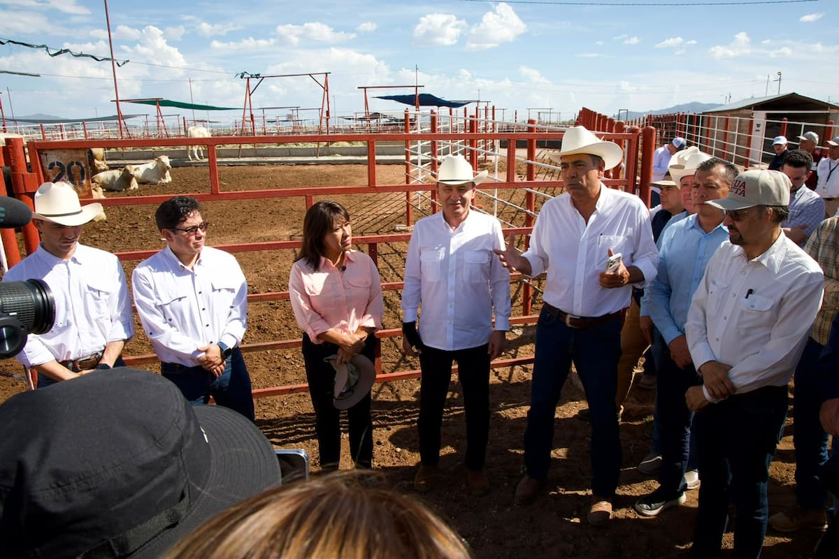Ante primer envío de ganado por Agua Prieta, Alfonso Durazo anuncia sanidad reforzada y Sader mantendrá trazabilidad desde el nacimiento para sostener exportaciones a EEUU