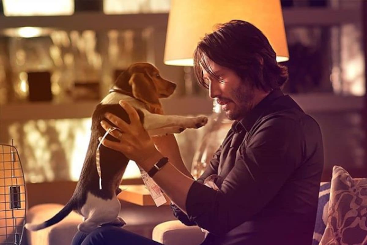 Directores de ''John Wick'' tuvieron que pelear para que el perro formara parte de la historia