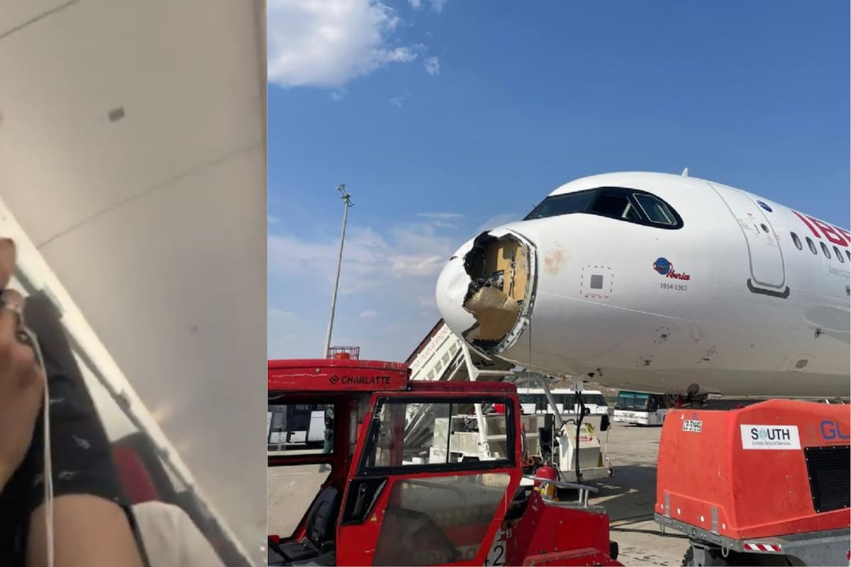Vuelo Madrid-París sufre aterrizaje de emergencia tras chocar con un buitre