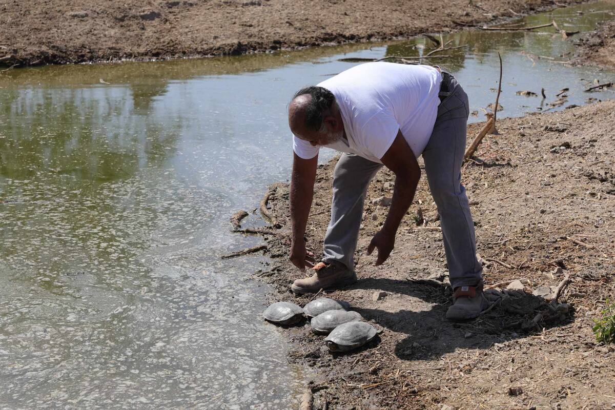 Crédito: Julián Ortega