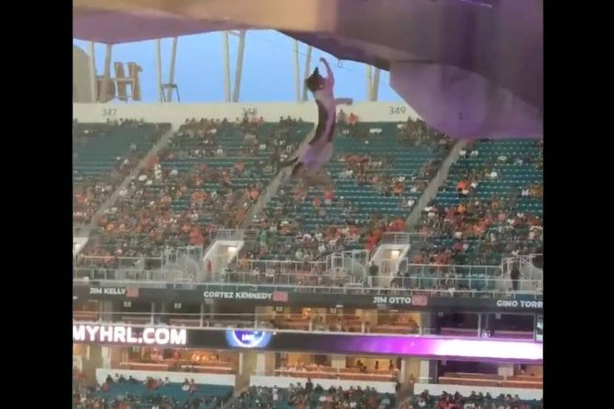 VIDEOS: Gato queda colgado de un cable del tercer piso en estadio de futbol americano