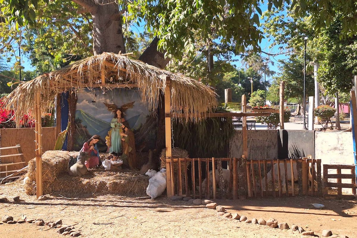 Solicitan apoyo para reponer animales del nacimiento viviente