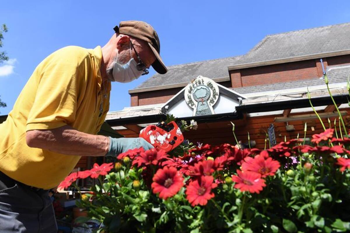 Biodiversidad: se "refugian" británicos de pandemia creando su jardín en casa