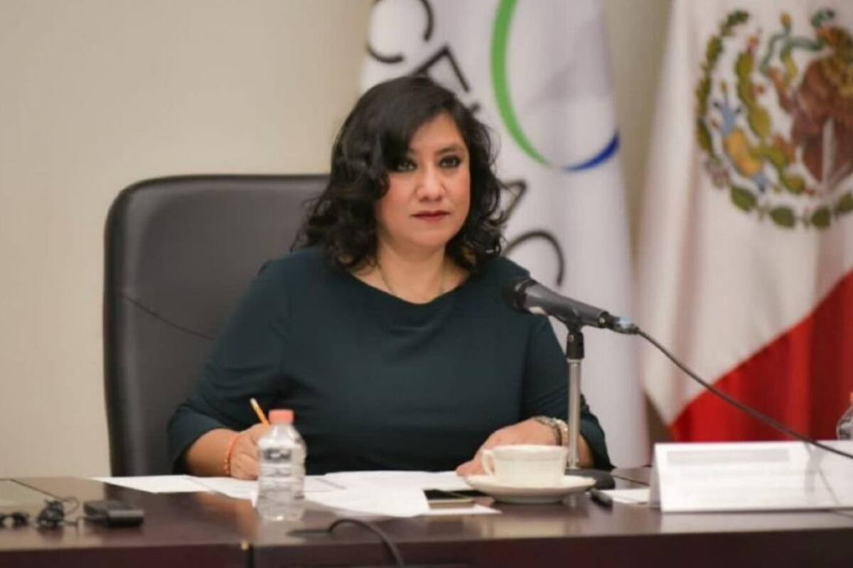 AMLO ofreció a Irma Eréndira una embajada o una diputación: John M. Ackerman