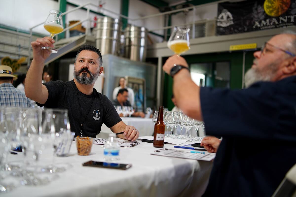 Participan 250 cervezas en Copa Baja