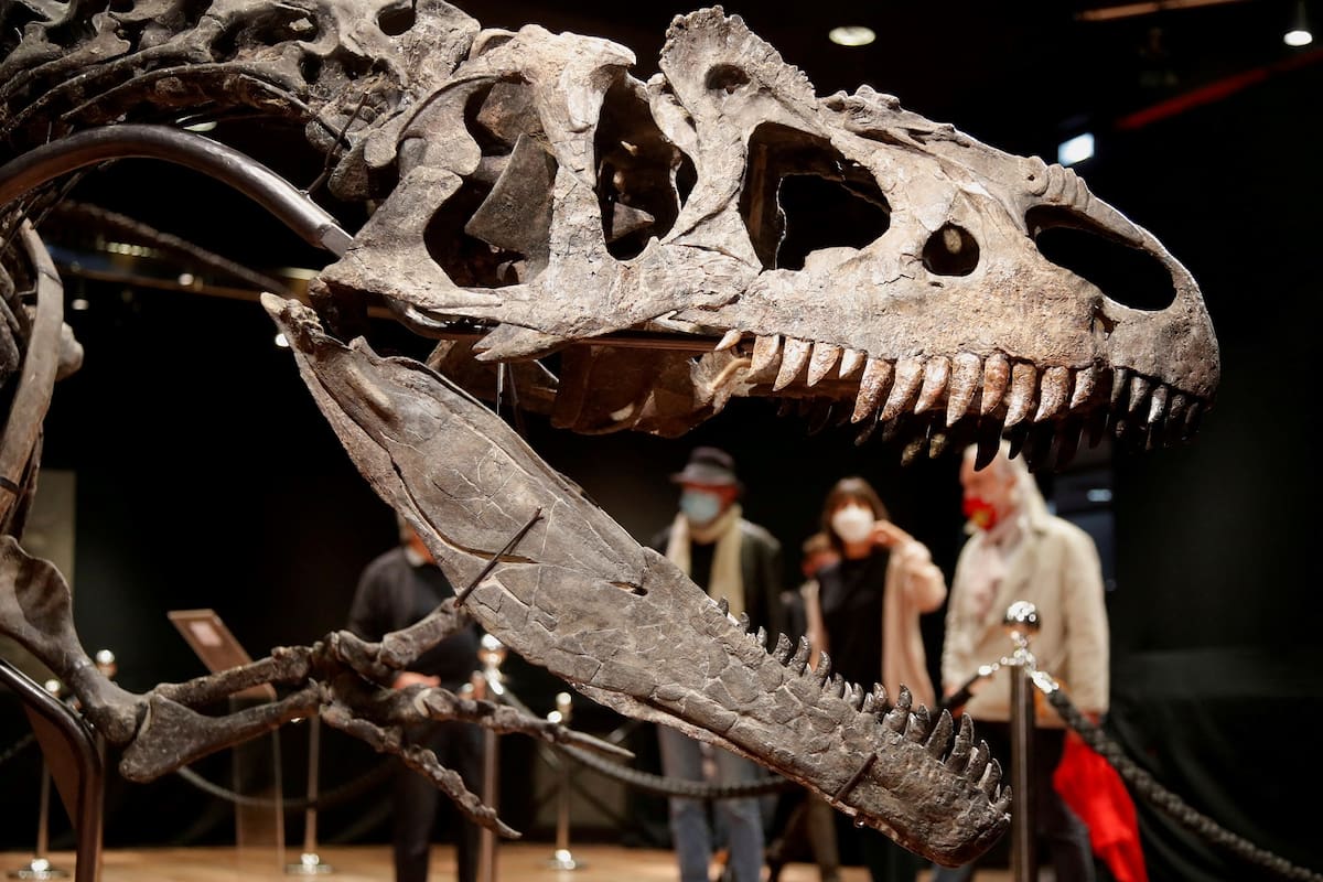 Cambios de estructura aumentan fuerza de la mordida del T-Rex