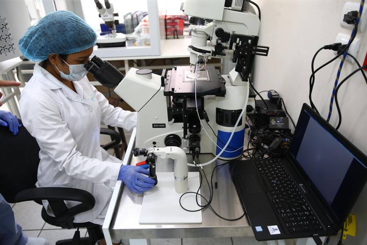 Ya hay una esperanza para detener el desarrollo el cáncer de páncreas