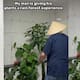 Joven sorprende a su pareja con una experiencia de “lluvia de bosque” para sus plantas: ¿realmente funciona?
