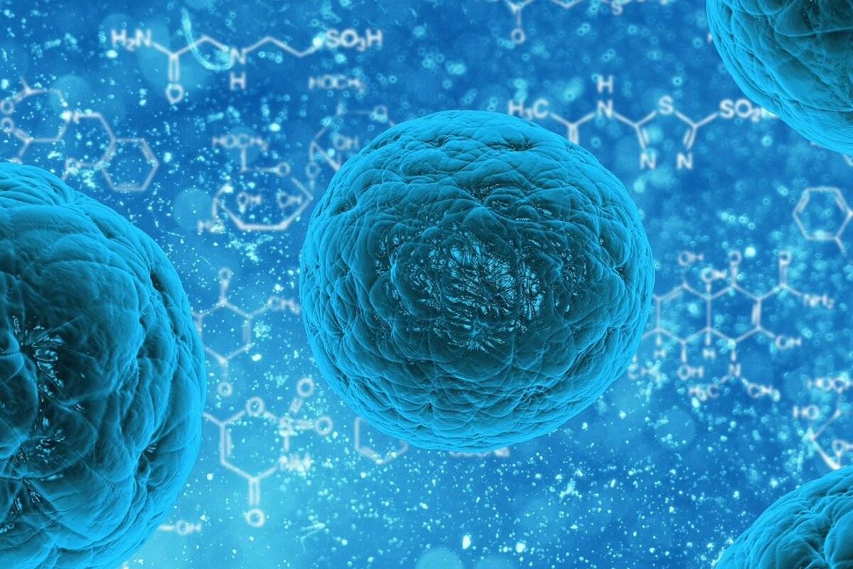 Crece brote de Brucelosis en China, ya van más de 6 mil casos