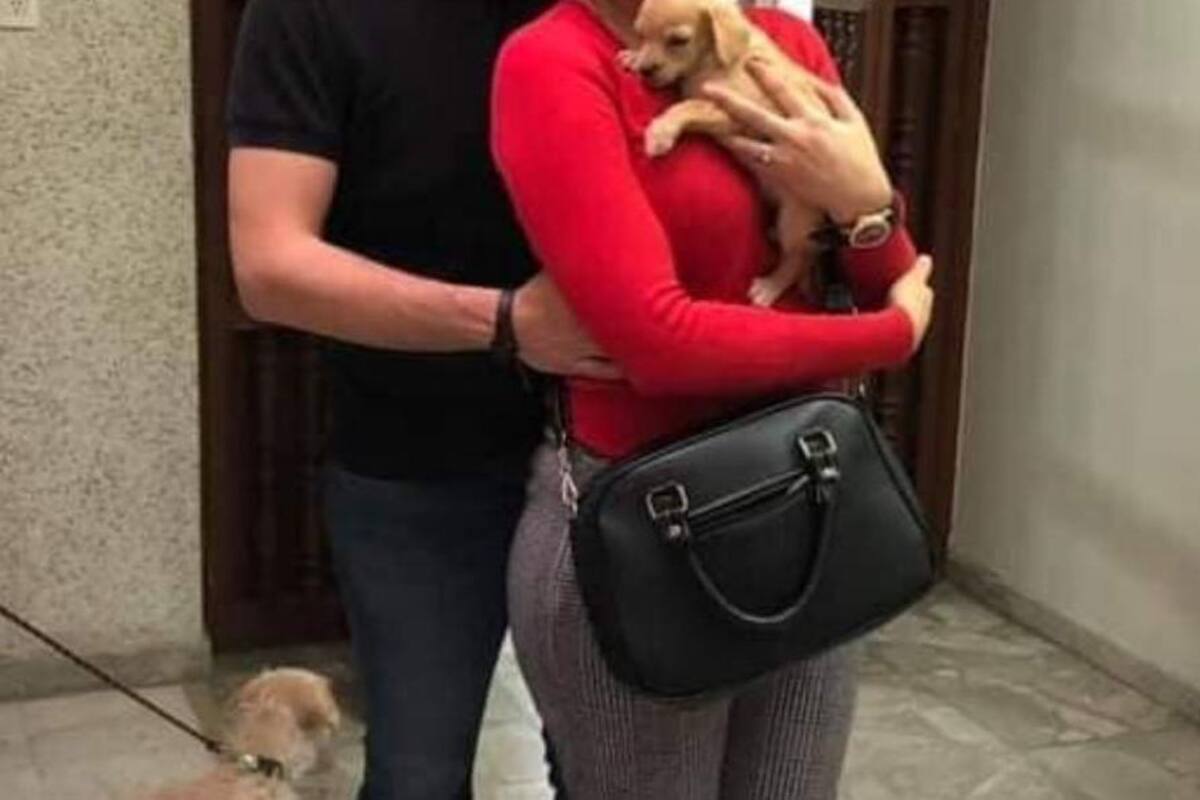 ¡Macabro! Investigan a pareja que adoptaba perritos para alimentar a sus víboras