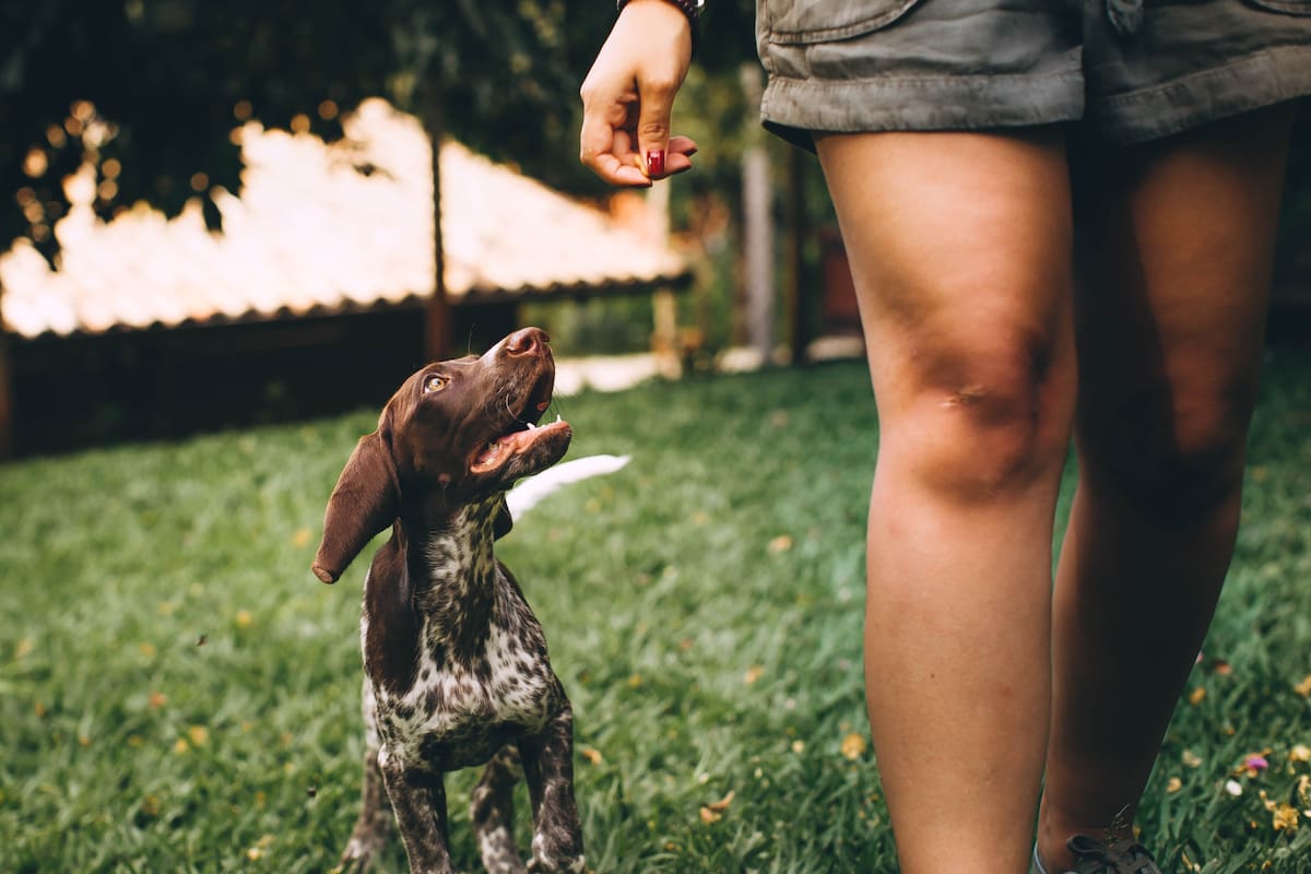 Caminar más rápido, vivir mejor: lo que revela la velocidad al andar sobre la salud