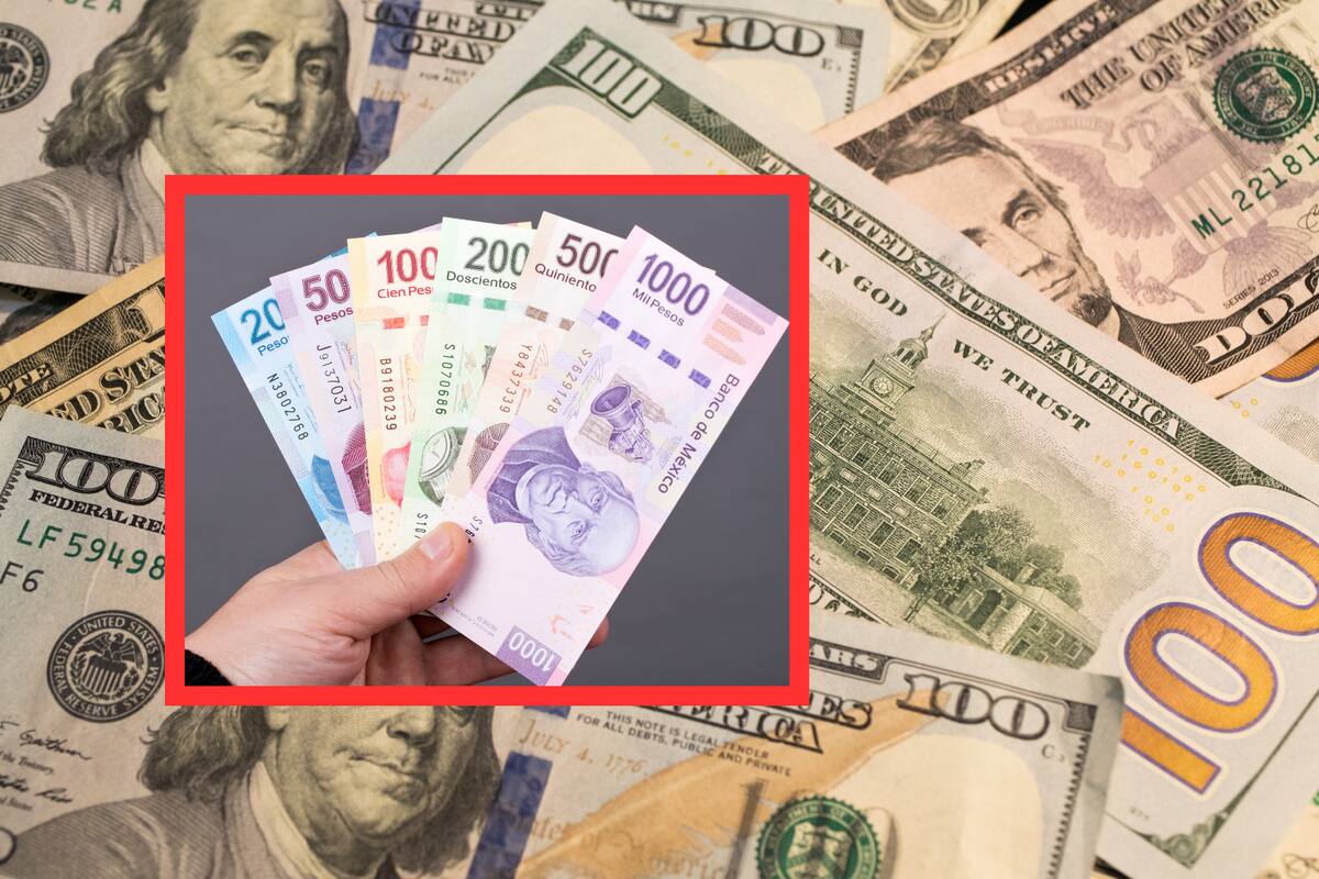 Dólar en México: Así se cotiza el tipo de cambio en los principales bancos hoy domingo 29 de diciembre de 2024