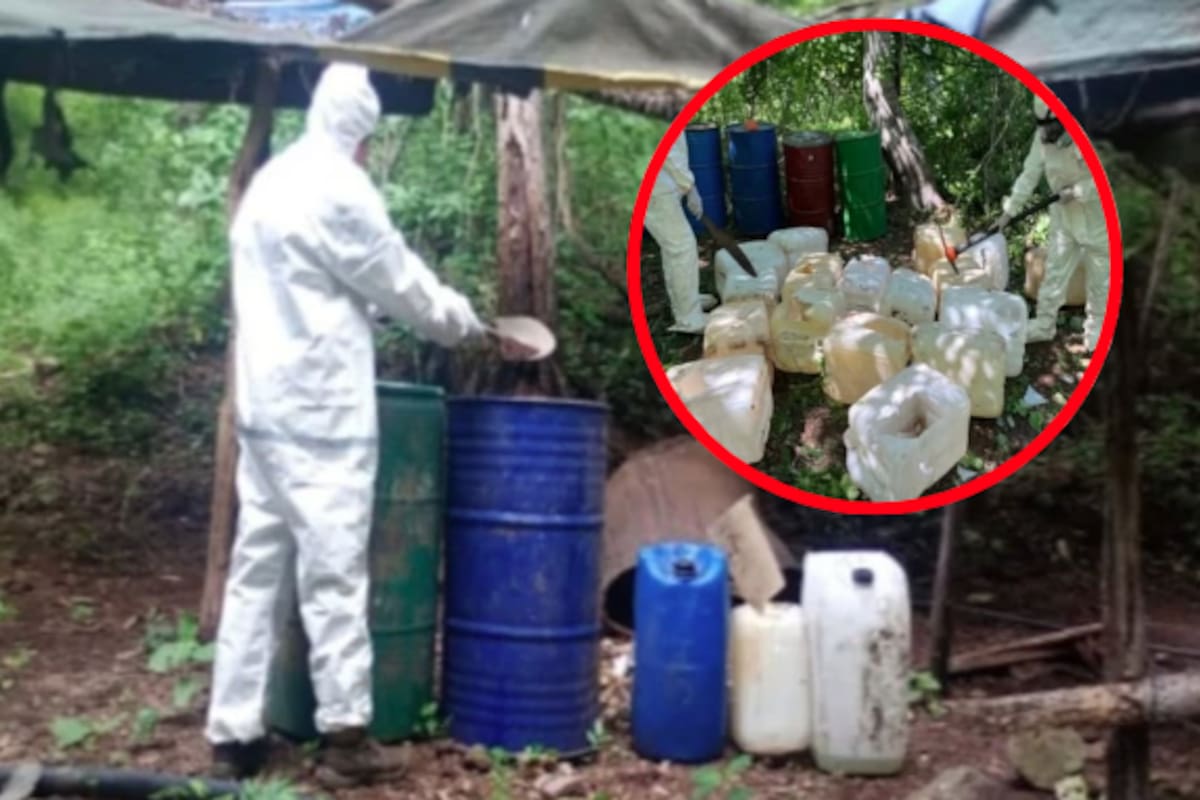 Operativo militar desmantela laboratorios clandestinos y químicos peligrosos en Culiacán y Cosalá