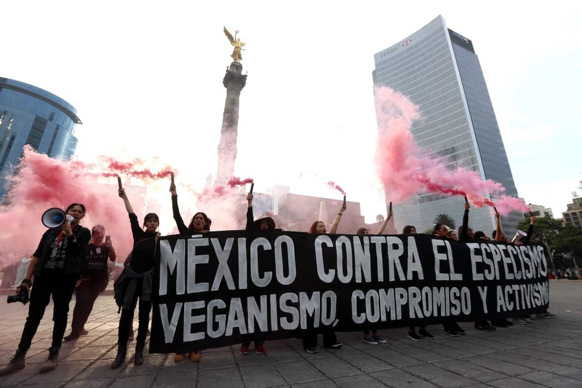 Suprema Corte avala nuevamente corridas de toros en México