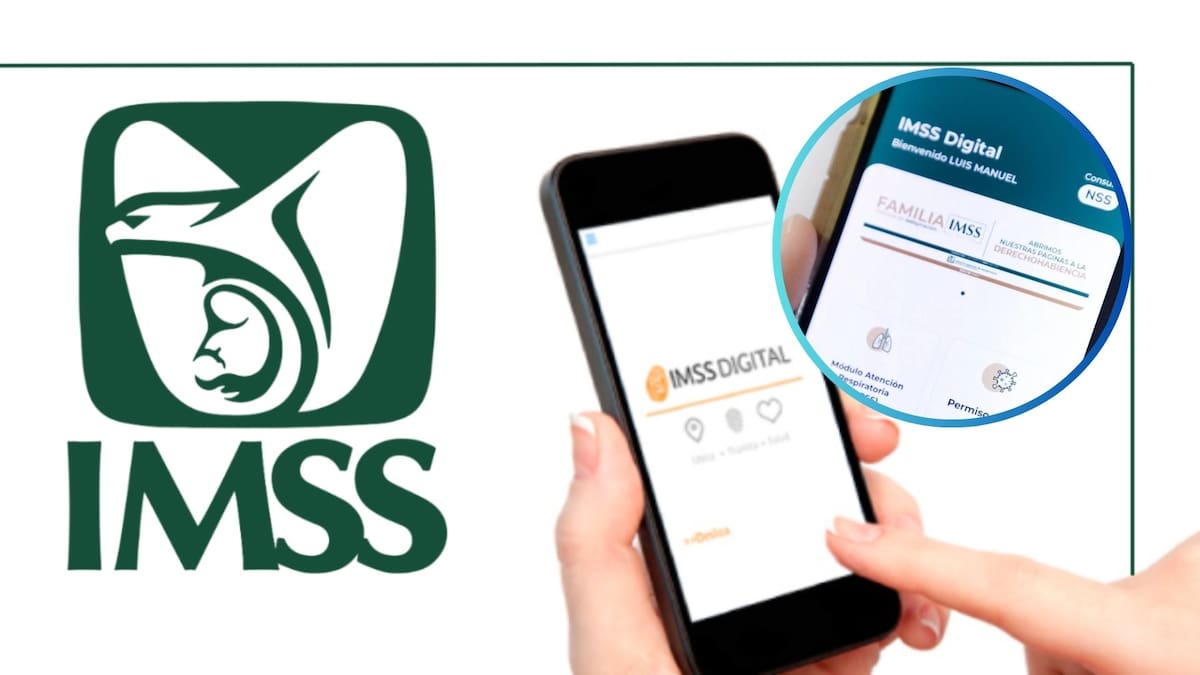 IMSS digital