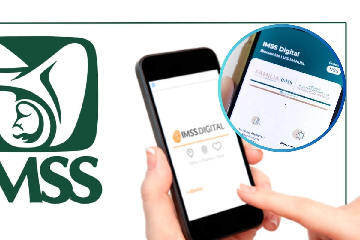¿Cómo saber si estás dado de alta en IMSS desde tu celular?