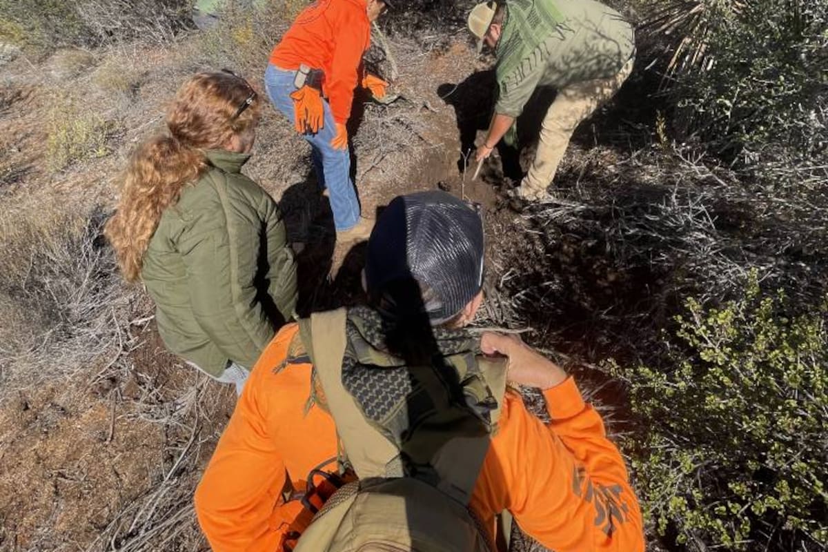 Localizan restos humanos cerca de la carretera a Ojos Negros