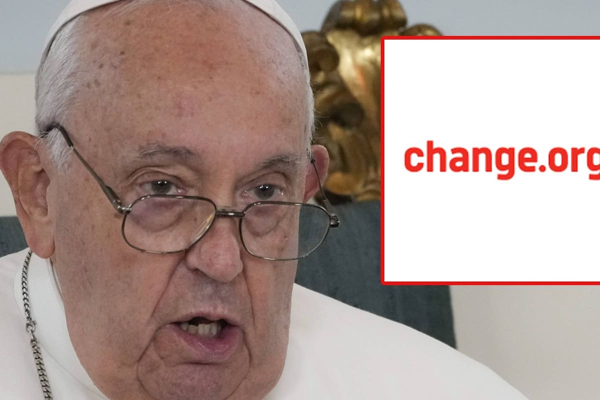 Vaticano: Van más de 40 mil firmas contra la tala del árbol de Navidad de 200 años, que sería regalado al Papa Francisco