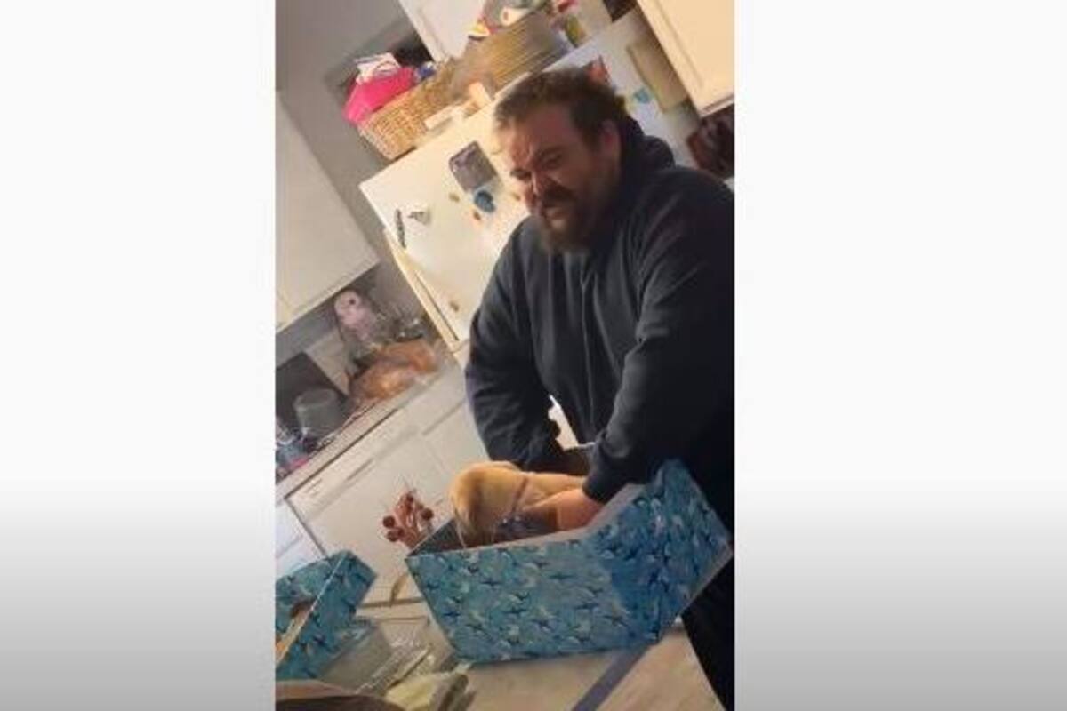 VIDEO: Hombre recibe de regalo un perrito y rompe en llanto