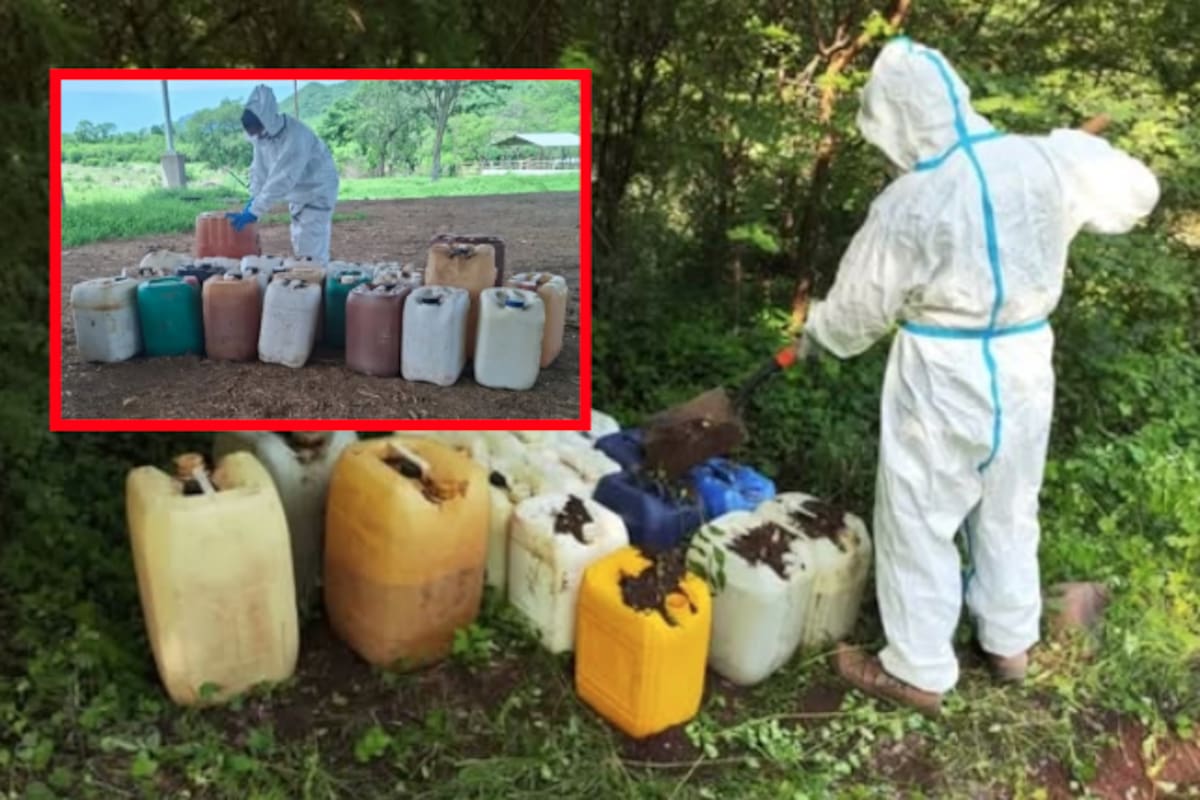 Explosivos, armas y 11,000 litros de químicos: el hallazgo que encendió las alertas en Sinaloa