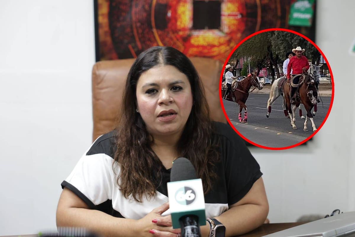 Garantizaron agua para 200 caballos y jinetes al llegar al FEX, asegura directora de Fiestas del Sol