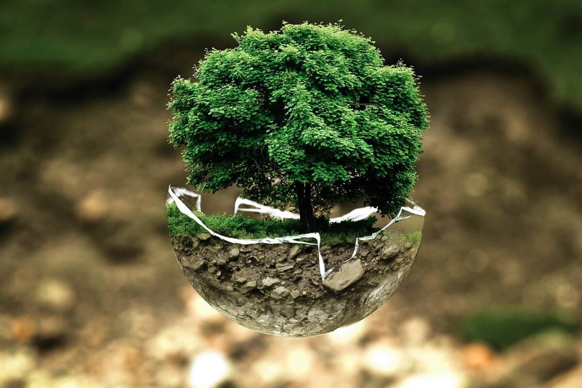 ChatGPT te da consejos para un estilo de vida respetuoso con el medio ambiente