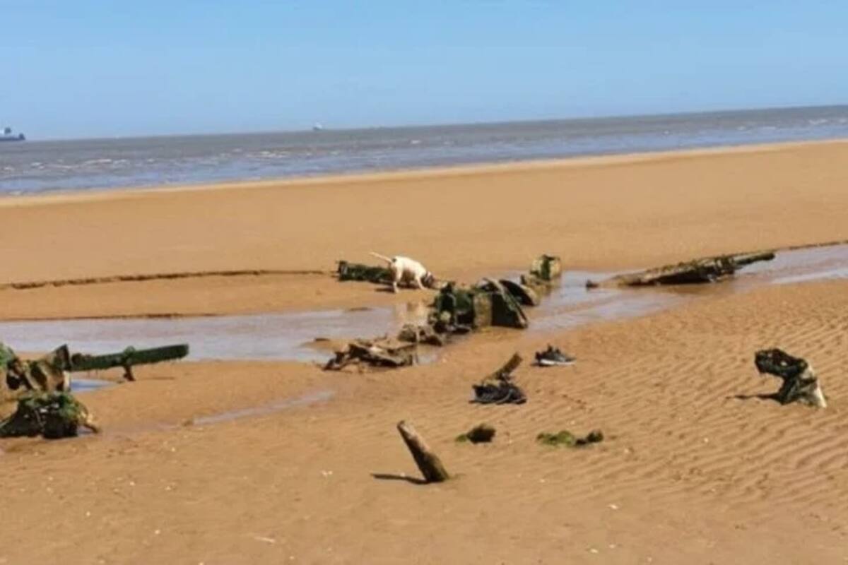 Salen a pasear a su perro y encuentran restos de un avión de la 2da. guerra mundial