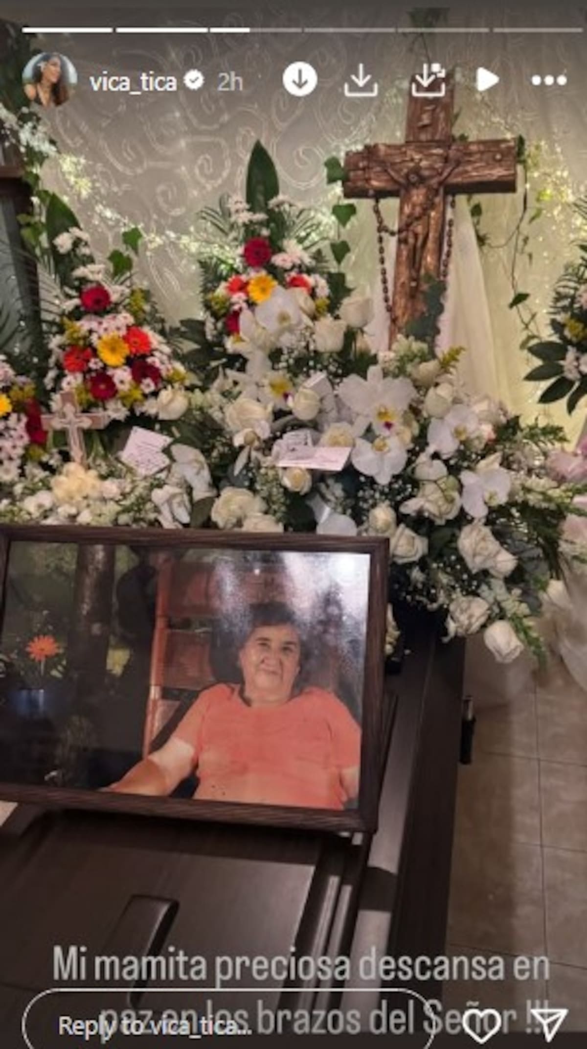 Vica Andrade anuncia la muerte de su madre | Instagram @vica_tica