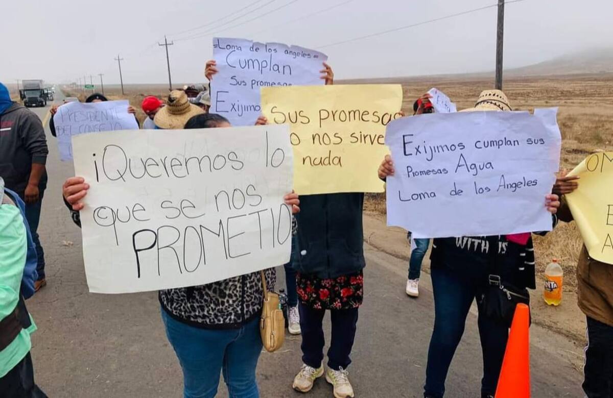 Foto: cortesía