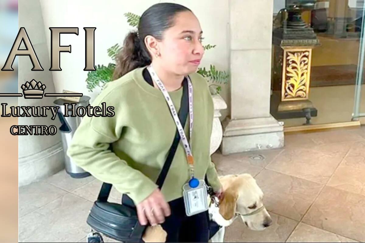 ¿Qué se sabe del Hotel Safi, donde Sary y su perro guía Odín fueron discriminados?