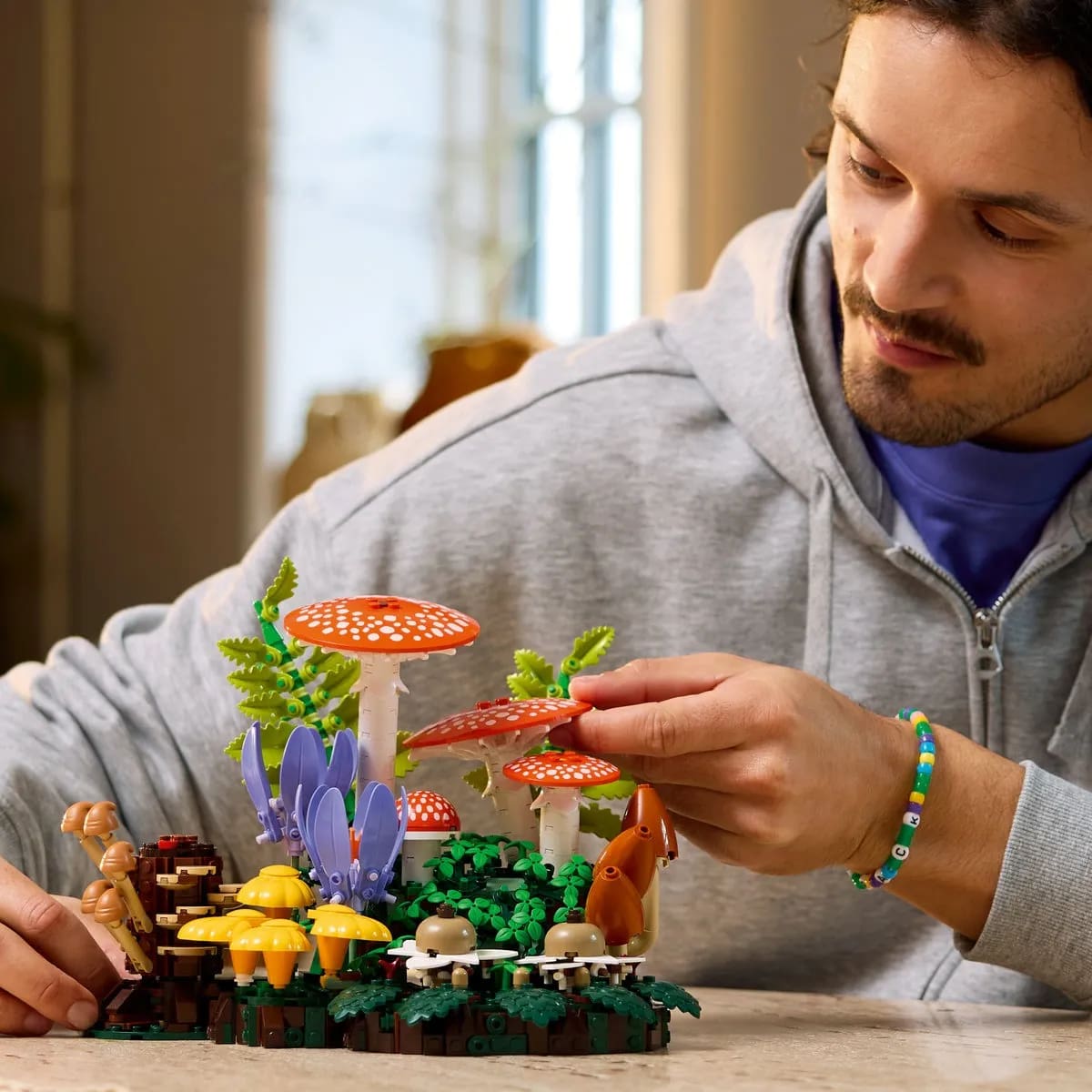 Set Hongos del Bosque | Mercado Libre