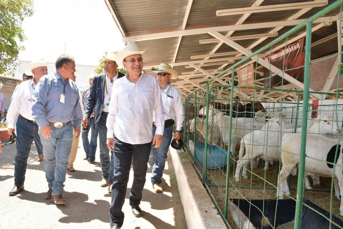 Alfonso Durazo restablece exportación de ganado por Agua Prieta y Nogales