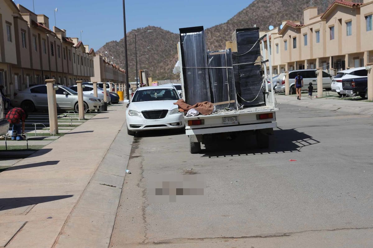 Envenenan a seis gatos al Norponiente de Hermosillo
