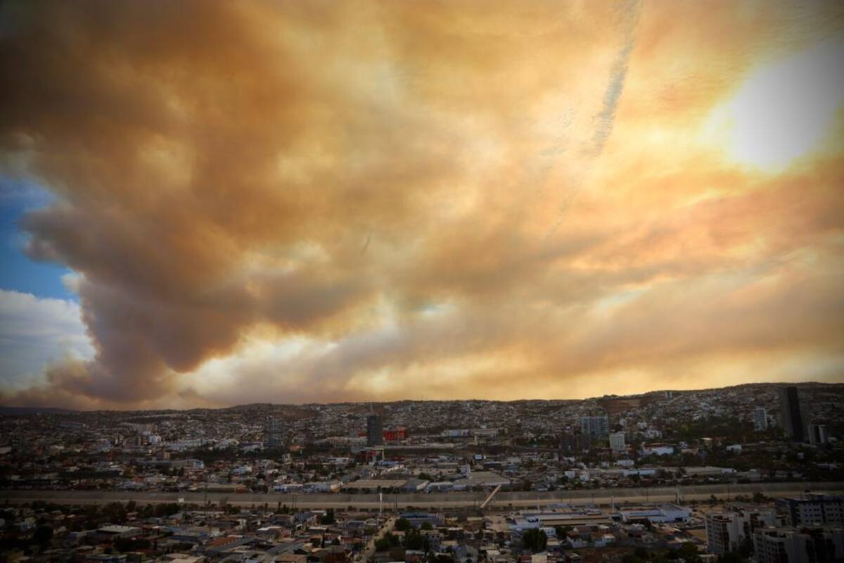 Combaten Bomberos Tijuana, Sedena y Conafor incendios forestales