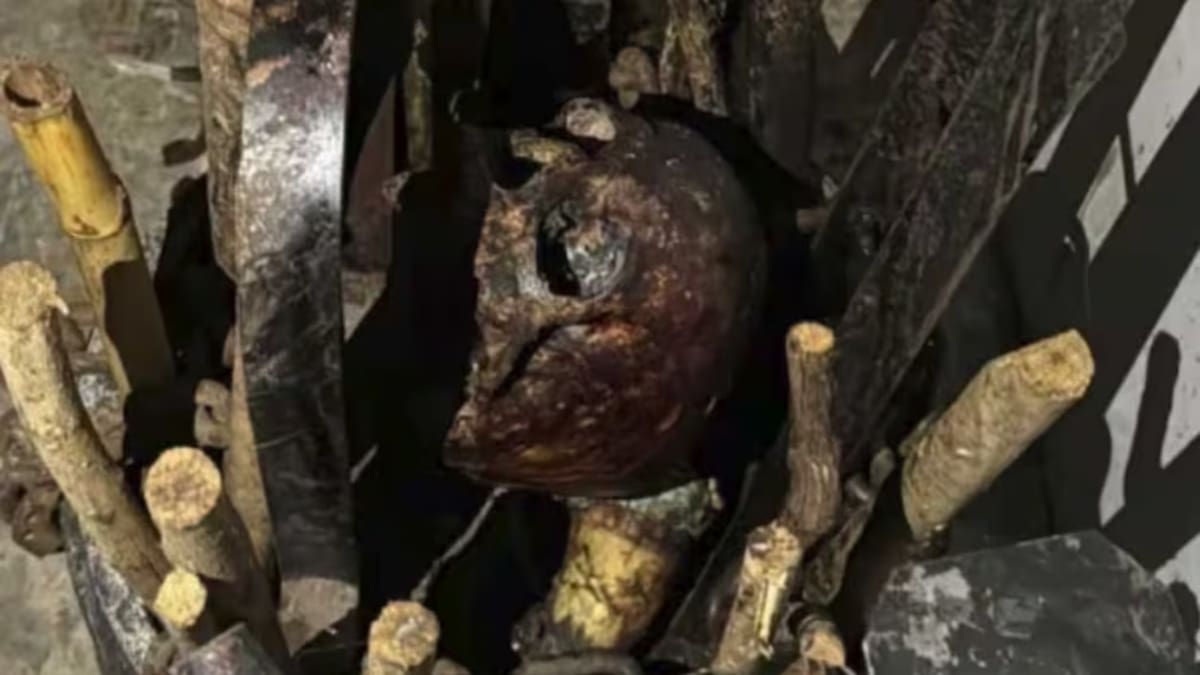 Entre los hallazgos se encontraron restos humanos. Foto: Especial