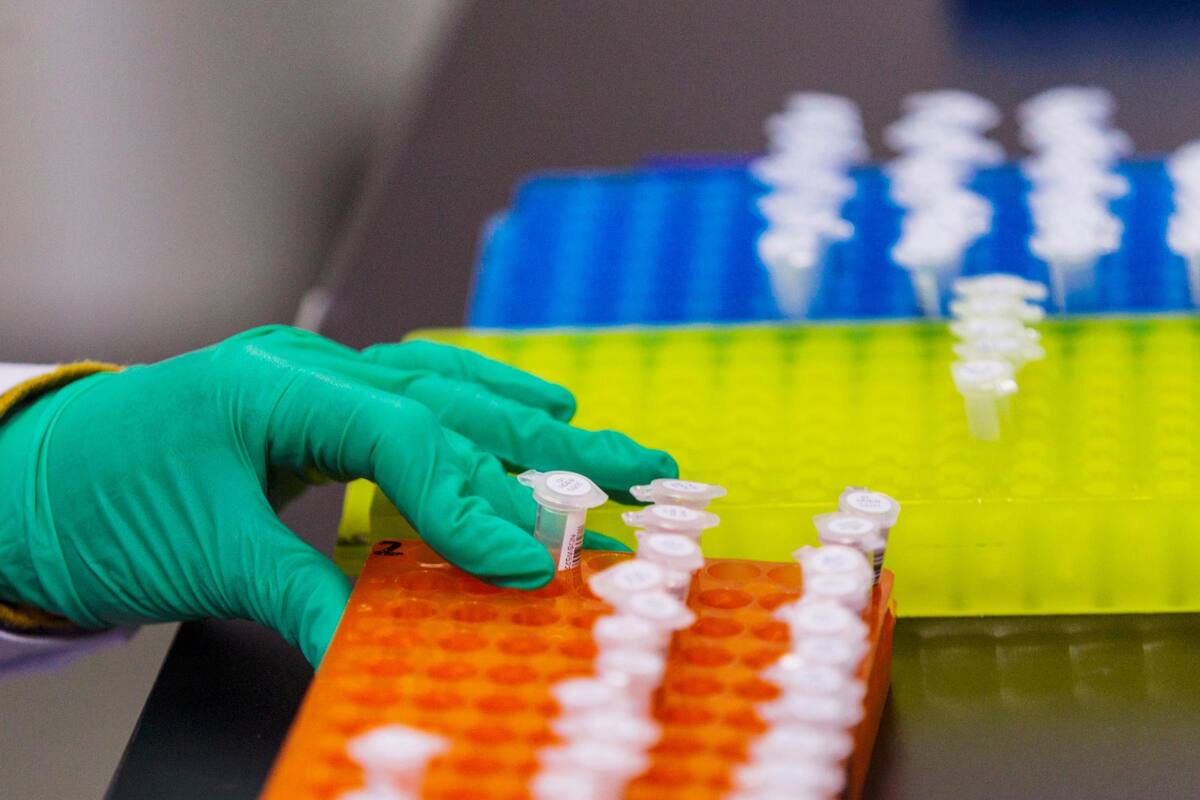 Estudio genético sobre pubertad en niñas revela vínculo con el aumento de peso