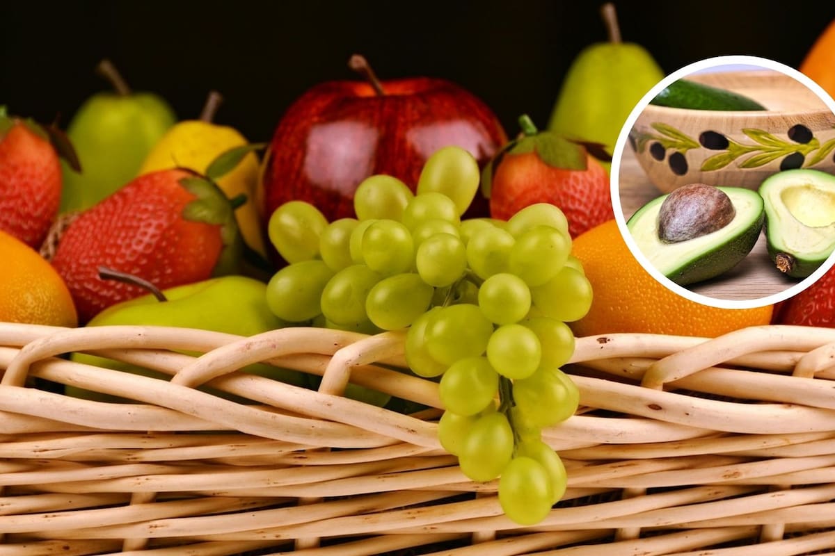 Estas son las frutas que aportan beneficios a tu salud